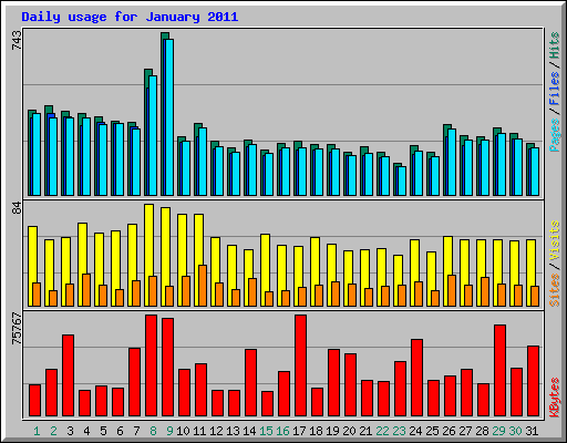 Daily usage for January 2011