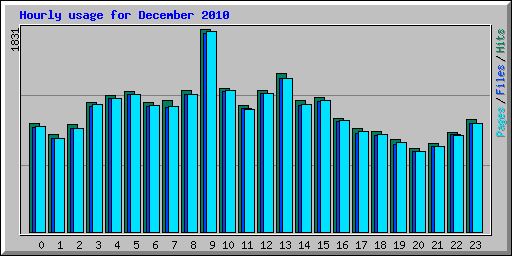 Hourly usage for December 2010