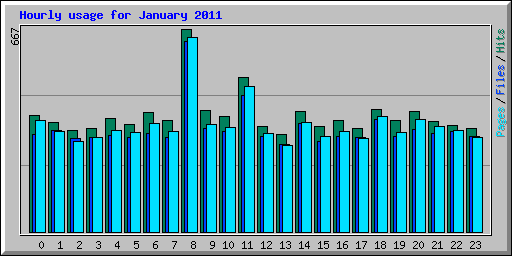 Hourly usage for January 2011